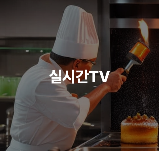 실시간TV  인기 프로그램 추천 시청 방법 완벽 가이드